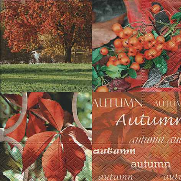Papírové ubrousky Autumn nature