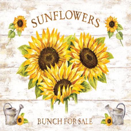 Korkové podložky pod šálek Sunflowers 4ks