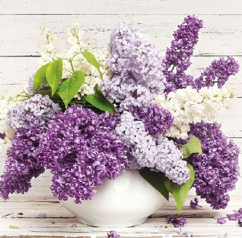 Papírové ubrousky Syringa