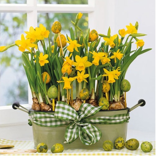 Papírové ubrousky Daffodils