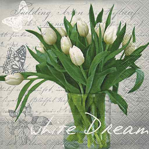 Papírové ubrousky White Dream 20ks