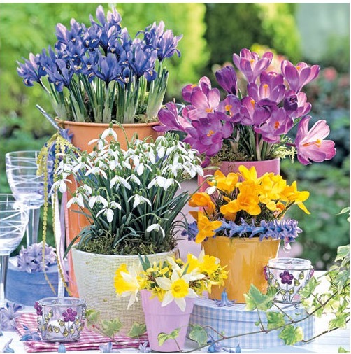 Papírové ubrousky Spring Bloomers 20ks