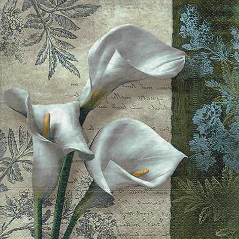Papírové ubrousky White Beauties