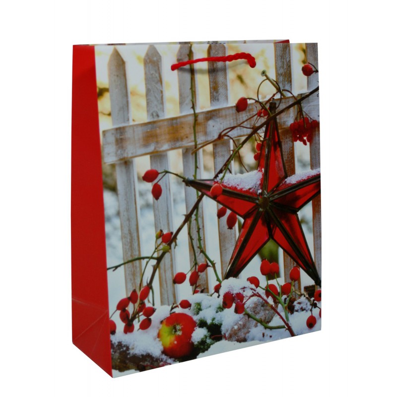 Dárková papírová taška Advent wishes velká