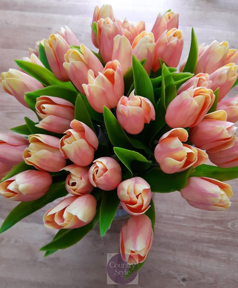 Jarní tulipán broskvová 1ks