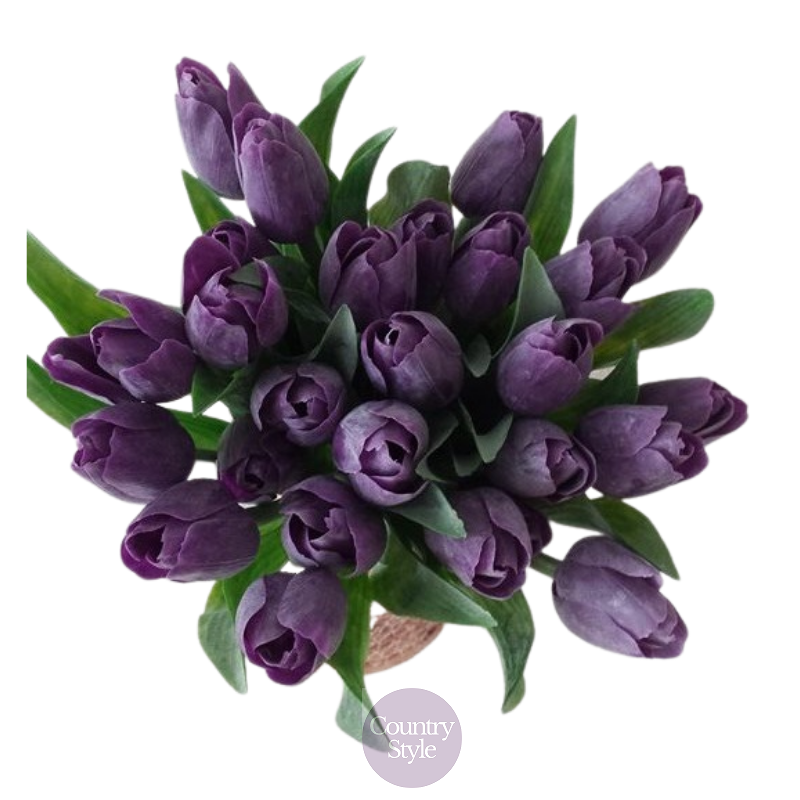 Jarní tulipán tmavě fialová 1ks