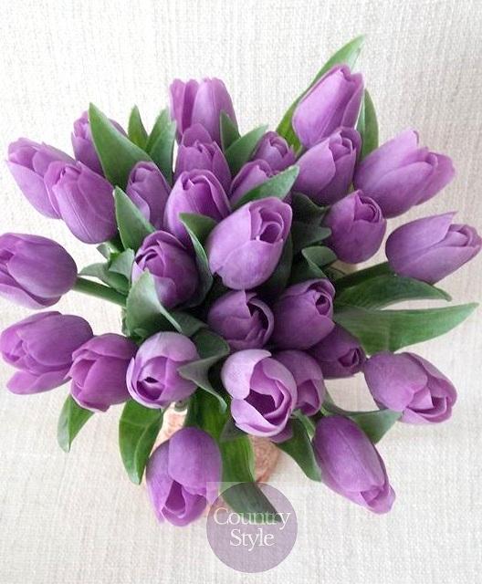 Jarní tulipán fialová 1ks